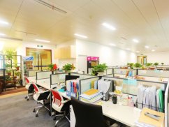 報案之路：北京經濟案件律師解析經濟犯罪案件的報案流程