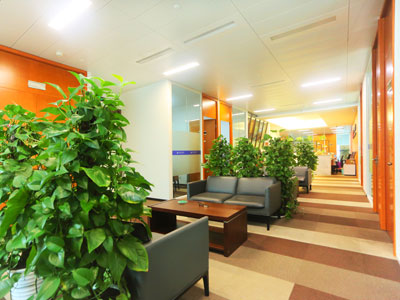 深圳物業(yè)糾紛找律師